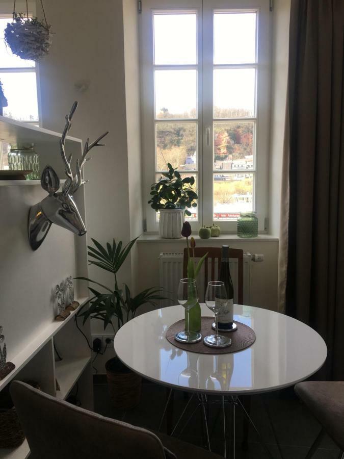 Apartment Am Zurlaubener Ufer Trier Dış mekan fotoğraf